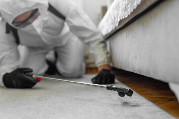 Professional Termite Control technician working in Niles, MI