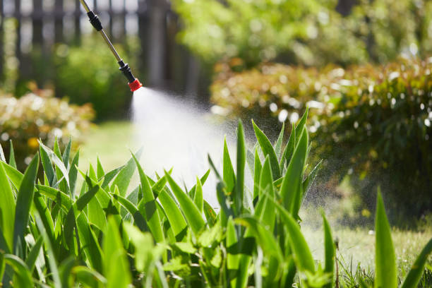24/7 Emergency Termite Control experts in Niles, MI